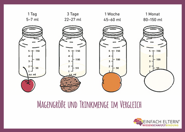 Komplettes Einfach Eltern® Postkarten Set